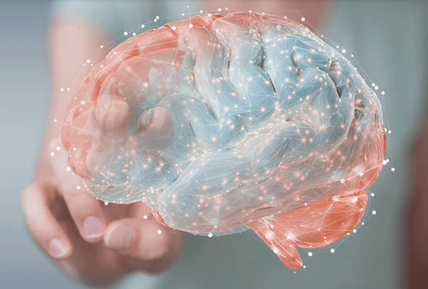 Neurology Congress 2026